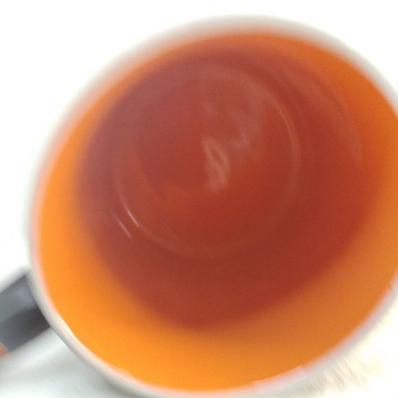 Eli & Anna Halloween Owl With Ornate Flowers4"1/2x4" Coffee Mug New Dishwasher - Picture 4 of 5